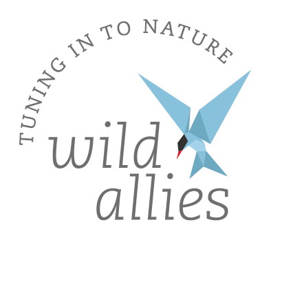 Wild Allies logo